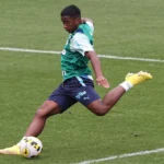 Endrick é vendido ao Real Madrid e São Paulo é inserido em polêmica. (Foto: Twitter do Palmeiras)