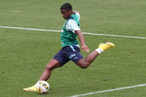 Endrick é vendido ao Real Madrid e São Paulo é inserido em polêmica. (Foto: Twitter do Palmeiras)