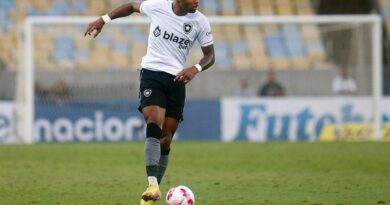 São Paulo tem interesse na contratação de Junior Santos, ex-Botafogo. (Foto: Twitter do Botafogo)