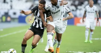 Erison chega para reforçar São Paulo em 2023. (Foto: Twitter do Botafogo)