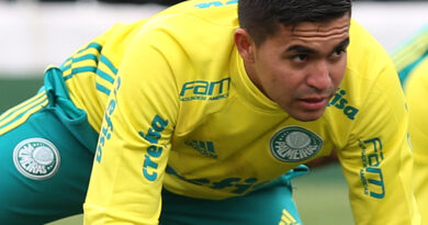 Foto: Flickr Oficial do Palmeiras - Dudu foi superado pelo titular do São Paulo.
