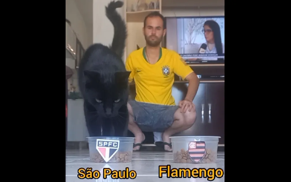 Gato Vidente prevê título do São Paulo na Copa do Brasil. (Foto: Reprodução/TikTok)