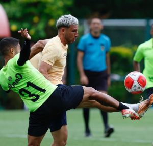 Calleri foi vice-artilheiro do São Paulo em 2024. (Foto: Twitter do São Paulo)