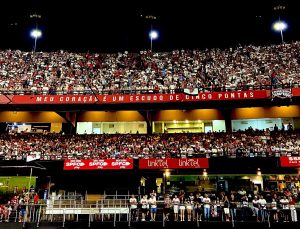 Torcida do São Paulo (Foto: Twitter do SPFC)