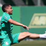 Vitor Roque. Foto: Cesar Greco/Palmeiras