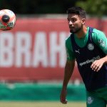 Flaco López. Foto: Cesar Greco/Palmeiras