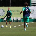 Mayke. Foto: Cesar Greco/Palmeiras